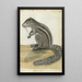 Ceylan-Eichhörnchen-Gemälde - Jan Brandes — gerahmtes Bild an der Wand