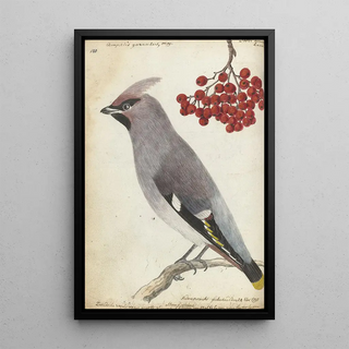 Jan Brandes - Zweedse vogel.webp