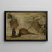 Studie von Affen, ein Hirsch und andere Tiere - Jan Brueghel der Jüngere — gerahmtes Bild an der Wand