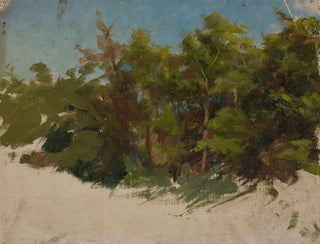Studie von Podolien - Jan Cybis — Ansicht des Kunstwerks
