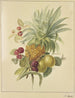 Ein Ananas, Pflaumen und Himbeeren - Jan Evert Morel — Ansicht des Kunstwerks