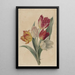 Blumenstrauß aus Tulpen - Jan Jacob Goteling Vinnis — gerahmtes Bild an der Wand