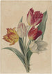 Blumenstrauß aus Tulpen - Jan Jacob Goteling Vinnis — Ansicht des Kunstwerks
