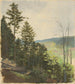 Scrub Hill - Jan Nowopack — Ansicht des Kunstwerks