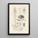 Le livre de la nature ou L'histoire des insectes Pl28 - Jan Swammerdam — gerahmtes Bild an der Wand