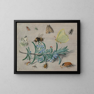 Jan Van Kessel The Elder - Insects and a Sprig of Rosemary.webp