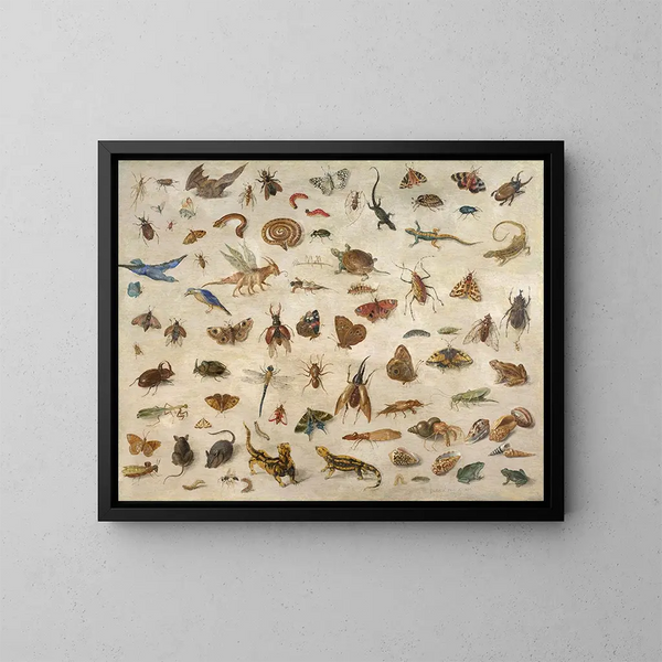 Insekten, Amphibien, Muscheln und Mäuse - Jan van Kessel der Ältere — gerahmtes Bild an der Wand