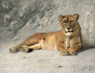 Jan van Essen - Lioness Resting.webp