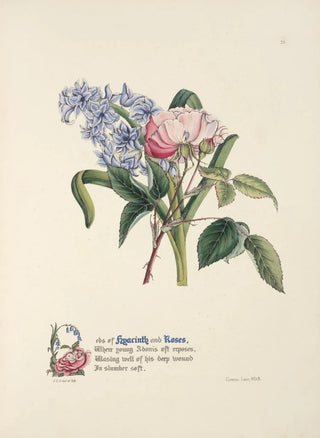 Jane Elizabeth Giraud - Hyacinth and rose.webp