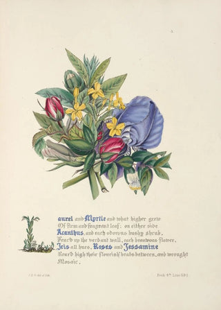 Jane Elizabeth Giraud - Laurel and myrtle.webp