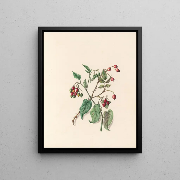 Jane Elizabeth Giraud - The fte of the flowers Pl12.webp