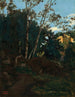 Bosquet d’arbres parmi les rochers, Civita Castellana - Jean - Baptiste Camille Corot — Ansicht des Kunstwerks