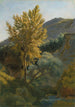 Baumstudie bei einem Bach in Italien - Jean-Baptiste-Camille Corot — Ansicht des Kunstwerks