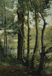 Les Evaux près Château-Thierry chemin bordé d'arbres - Jean-Baptiste-Camille Corot — Ansicht des Kunstwerks