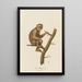 Le Magot - Jean-Baptiste Audebert — gerahmtes Bild an der Wand