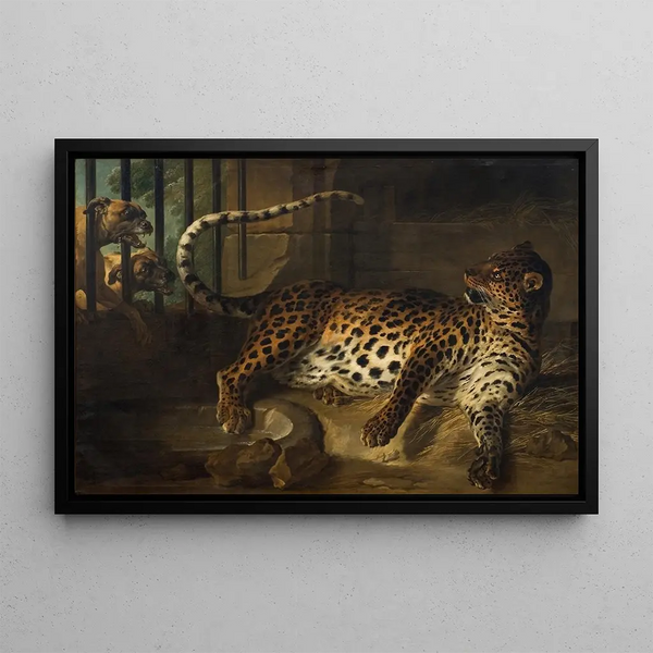 Leoparden im Käfig, konfrontiert mit zwei Mâtins - Jean-Baptiste Oudry — gerahmtes Bild an der Wand