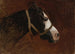 Profil eines Pferdes - Jean-Léon Gérôme — Ansicht des Kunstwerks