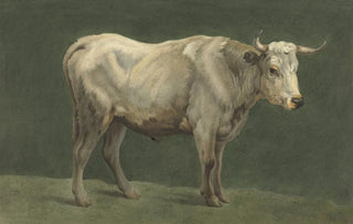 Jean Bernard - Staande stier naar rechts.webp