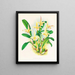 Lobe de Bolbophyllum - Jean Jules Linden — gerahmtes Bild an der Wand