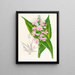 Calanthe Masuca - Jean Jules Linden — gerahmtes Bild an der Wand