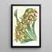 Catasetum rodigasianum - Jean Jules Linden — gerahmtes Bild an der Wand