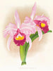 Rindfleisch Cattleya Trianae var purpurata - Jean Jules Linden — Ansicht des Kunstwerks