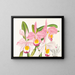 Cattleya eldorado - Jean Jules Linden — gerahmtes Bild an der Wand