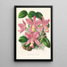 Cattleya nobilior - Jean Jules Linden — gerahmtes Bild an der Wand