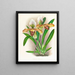 Cypripedium brillant - Jean Jules Linden — gerahmtes Bild an der Wand