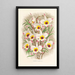 Dendrobium Falconeri - Jean Jules Linden — gerahmtes Bild an der Wand