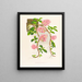 Dendrobium bracteosum - Jean Jules Linden — gerahmtes Bild an der Wand