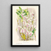 Dendrobium stratiotes - Jean Jules Linden — gerahmtes Bild an der Wand