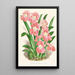 Odontoglossum Vexillarium - Jean Jules Linden — gerahmtes Bild an der Wand