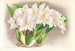 Odontoglossum alexandrae - Jean Jules Linden — Ansicht des Kunstwerks