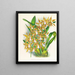 Odontoglossum boddaertianum - Jean Jules Linden — gerahmtes Bild an der Wand
