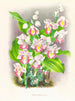 Phaius humbloti - Jean Jules Linden — Ansicht des Kunstwerks