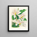 Stanhopea oculata - Jean Jules Linden — gerahmtes Bild an der Wand