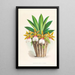 Trichocentrum Tigrinum - Jean Jules Linden — gerahmtes Bild an der Wand