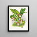 Zygopetalum jorisinum - Jean Jules Linden — gerahmtes Bild an der Wand