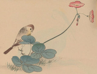 Jiro Takeuchi - Hogajo Pl10.webp