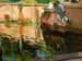 La Fontaine des Chevaux, La Granja - Joaquín Sorolla — Ansicht des Kunstwerks