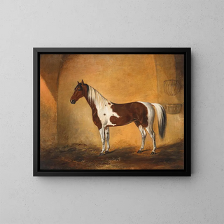 Ein Pferd in einer Stallung - Johann Adam Klein — gerahmtes Bild an der Wand