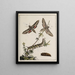 Archive der Geschichte der Insekten Pl04 - Johann Caspar Füssli — gerahmtes Bild an der Wand