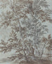 Un peuplement de bouleaux - Johann Caspar Huber — Ansicht des Kunstwerks