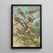 Acanthis cannabina Acanthis flavirostris - Johann Friedrich Naumann — gerahmtes Bild an der Wand