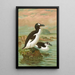 Alca impennis L Riesenalk - Johann Friedrich Naumann — gerahmtes Bild an der Wand