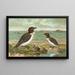 Alca torda - Johann Friedrich Naumann — gerahmtes Bild an der Wand