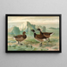 Branta bernicla - Johann Friedrich Naumann — gerahmtes Bild an der Wand