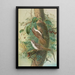 Certhia familiaris Certhia familiaris brachydactyla - Johann Friedrich Naumann — gerahmtes Bild an der Wand