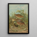 Crex crex - Johann Friedrich Naumann — gerahmtes Bild an der Wand